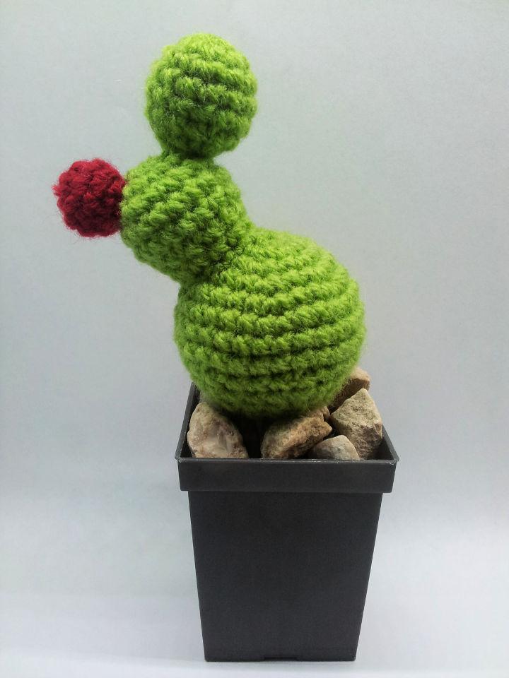 Crochet Cactus Patterns