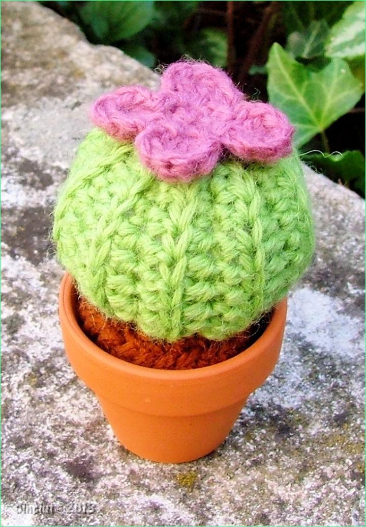 Crochet Succulent Pattern