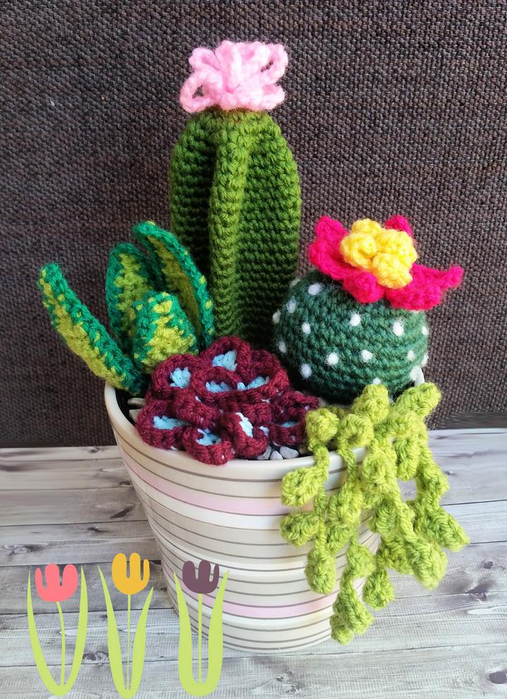 30 Free Crochet Cactus Patterns (2022)