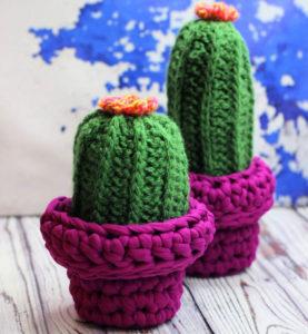 30 Free Crochet Cactus Patterns | Crochet Succulent Pattern