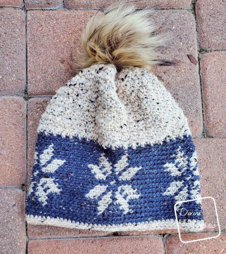 Crochet Dancing Snowflakes Beanie