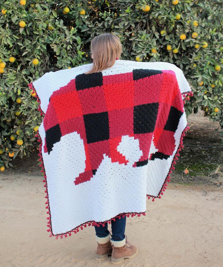 Plaid Bear C2C Crochet Blanket