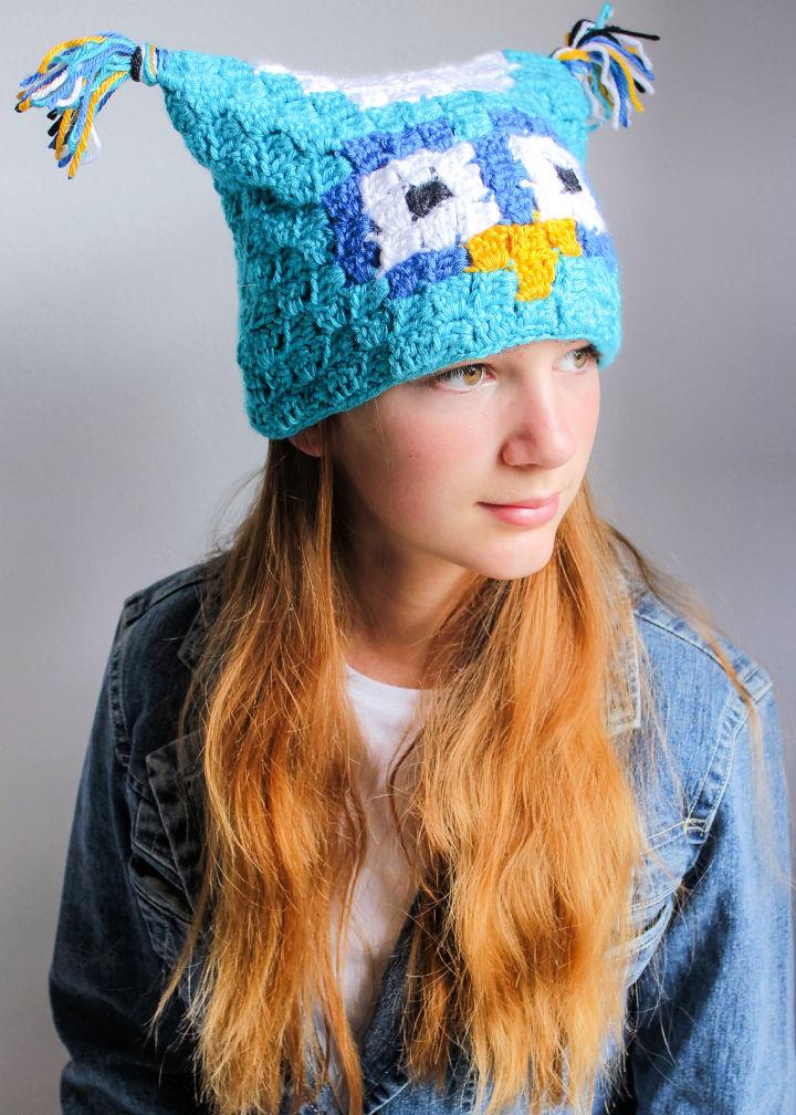 The Owl C2C Crochet Sack Hat Pattern